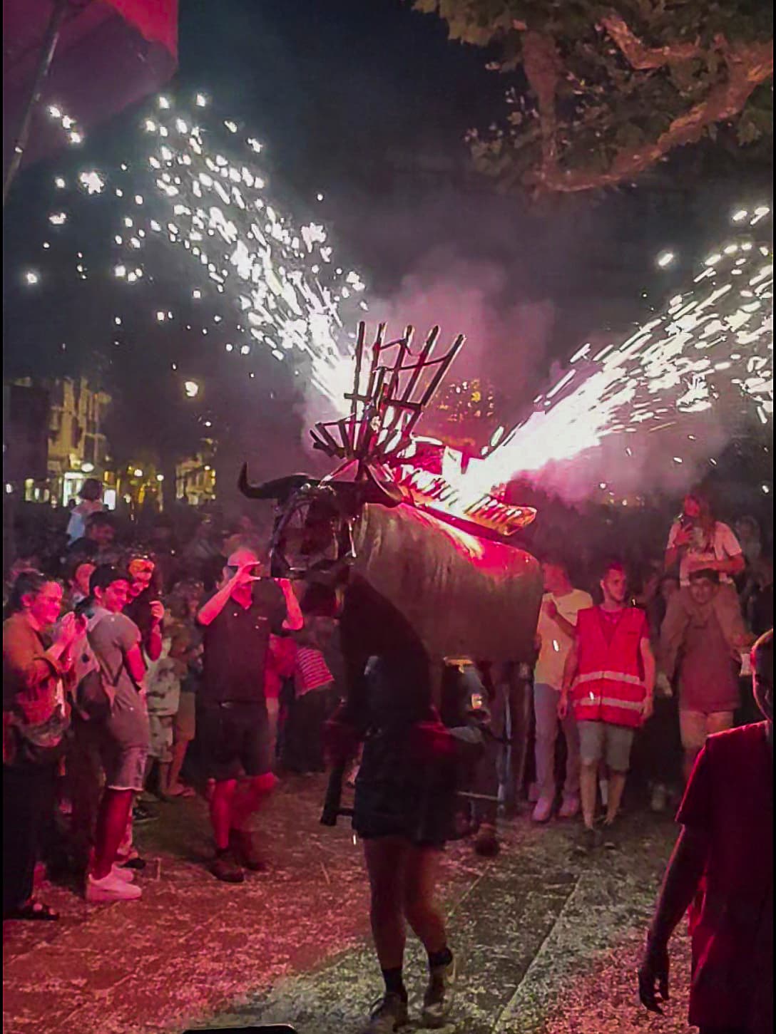 Torodefuego3.jpg