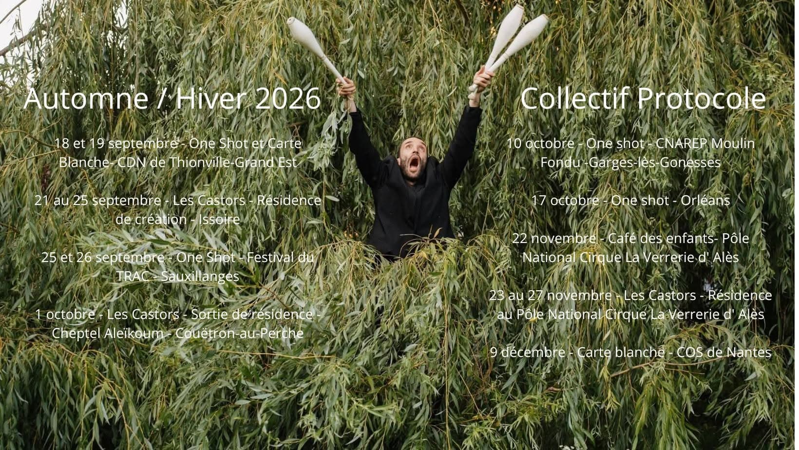 Dates.jpeg